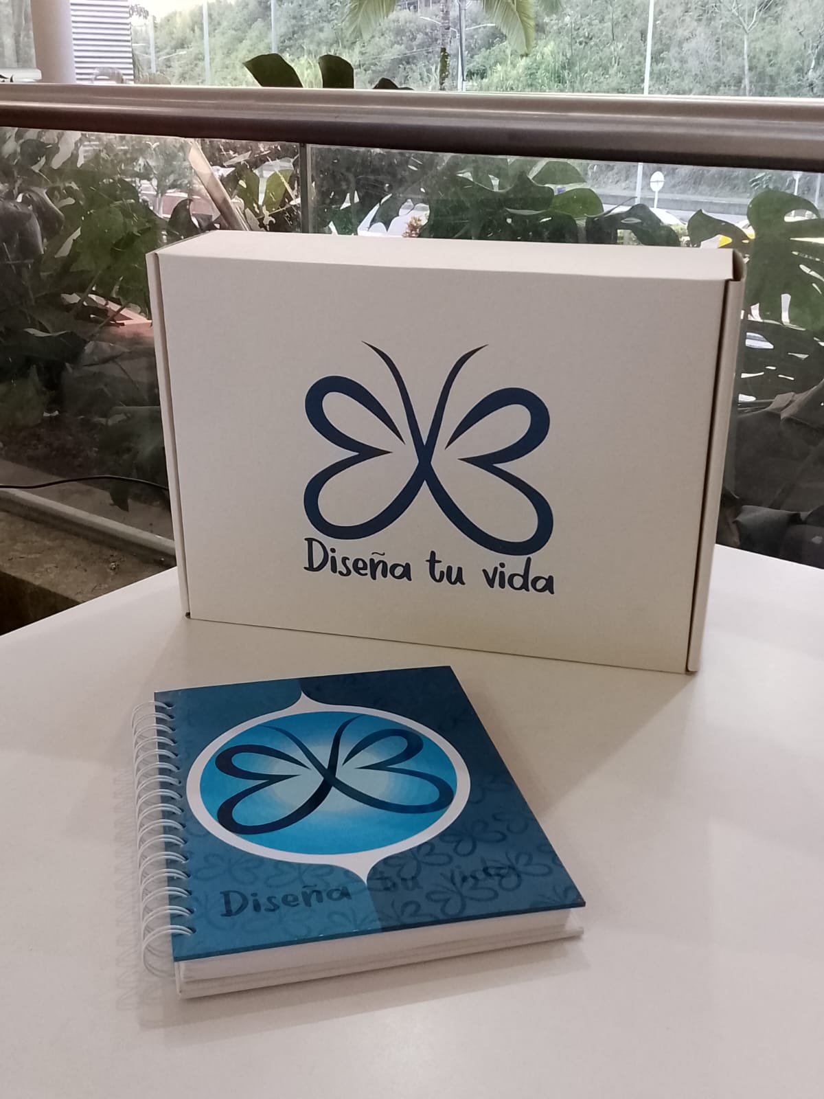 Kit Diseña Tu VIda