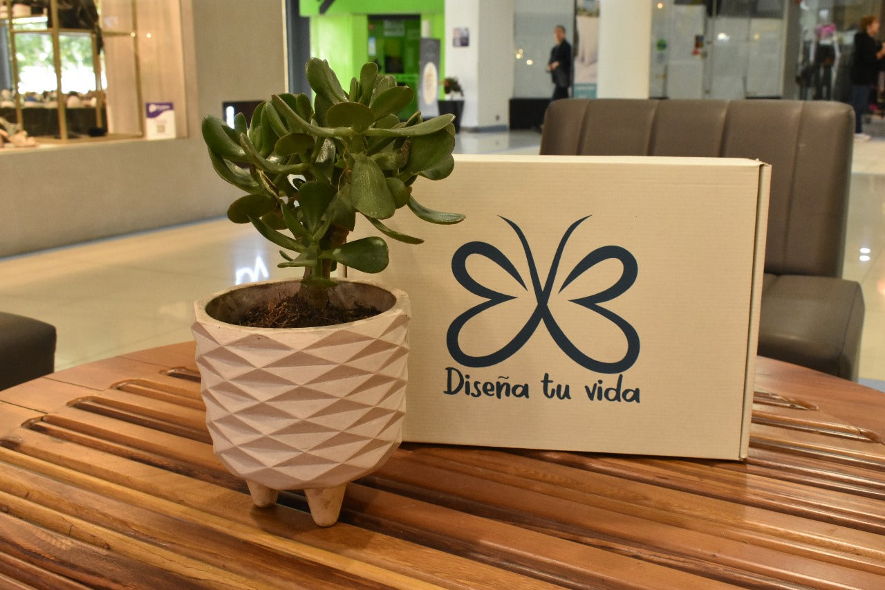 Kit Diseña Tu VIda